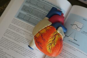 The History of Cardiology Discovering the Mysteries of the Human Heart Over Time